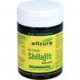 SHILAJIT Kapseln