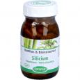 SILICIUM KIESELSÄURE 100% pflanzlich Kapseln