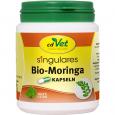 SINGULARES Bio-Moringa Kapseln vet.