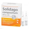 SOLIDAGO COMPOSITUM ad us.vet.Ampullen