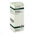 SOLIDAGO PENTARKAN S Mischung