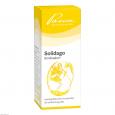 SOLIDAGO SIMILIAPLEX Tropfen