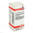SOLIDAGO VIRGAUREA D 1 Globuli