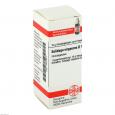 SOLIDAGO VIRGAUREA D 12 Globuli