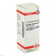 SOLIDAGO VIRGAUREA D 2 Dilution