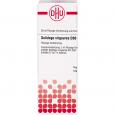 SOLIDAGO VIRGAUREA D 30 Dilution