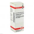 SOLIDAGO VIRGAUREA D 4 Dilution