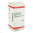 SOLIDAGO VIRGAUREA D 4 Tabletten