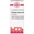 SOLIDAGO VIRGAUREA LM VI Globuli