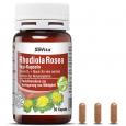 SOVITA ACTIVE Rhodiola Rosea Vegi-Kapseln