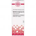 SPARTIUM SCOPARIUM D 12 Dilution