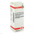 SPARTIUM SCOPARIUM D 2 Dilution