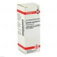 SPARTIUM SCOPARIUM D 4 Dilution