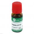 SPIGELIA LM 12 Dilution