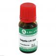 SPIGELIA LM 30 Dilution
