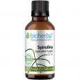 SPIRULINA SPIRULINA Turpin Tinktur