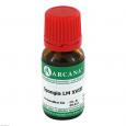 SPONGIA LM 18 Dilution