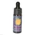 STAR THISTLE FES kalifornische Blütenessenz Tropf.