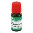 STICTA PULMONARIA LM 30 Dilution