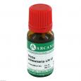 STICTA PULMONARIA LM 6 Dilution