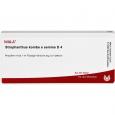 STROPHANTHUS KOMBE e semine D 4 Ampullen