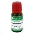 STROPHANTINUM LM 1 Dilution