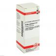 SULFUR JODATUM D 12 Dilution