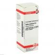 SULFUR JODATUM D 6 Dilution