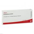SYMPATHICUS GL D 10 Ampullen