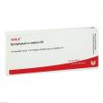 SYMPHYTUM E radice D 3 Ampullen