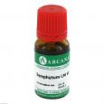 SYMPHYTUM LM 6 Dilution