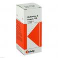 SYNERGON KOMPLEX 124 Cicuta virosa N Tropfen
