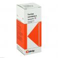 SYNERGON KOMPLEX 15 Teucrium Urtinktur