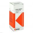 SYNERGON KOMPLEX 95 Actaea spicata S Tropfen