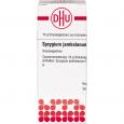 SYZYGIUM JAMBOLANUM D 12 Globuli