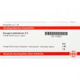SYZYGIUM JAMBOLANUM D 4 Ampullen