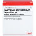 SYZYGIUM JAMBOLANUM INJEEL forte Ampullen