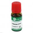 TABACUM LM 6 Dilution