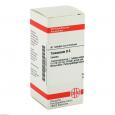 TARAXACUM D 6 Tabletten