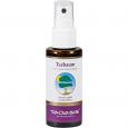 TEEBAUM FUSSSPRAY