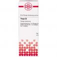 THUJA C 5 Dilution