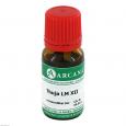 THUJA LM 12 Dilution