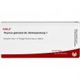 THYMUS GLANDULA GL Serienpackung 1 Ampullen