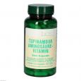 TOPINAMBUR AMINOSÄURE Vitamin Bios Kapseln