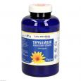TOPINAMBUR AMINOSÄURE Vitamine GPH Kapseln