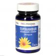 TOPINAMBUR AMINOSÄURE Vitamine GPH Kapseln