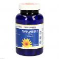 TOPINAMBUR E 300 mg GPH Kapseln