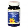 TOPINAMBUR E 300 mg GPH Kapseln