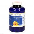 TOPINAMBUR P 400 mg GPH Kapseln