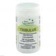 TRIBULUS KAPSELN